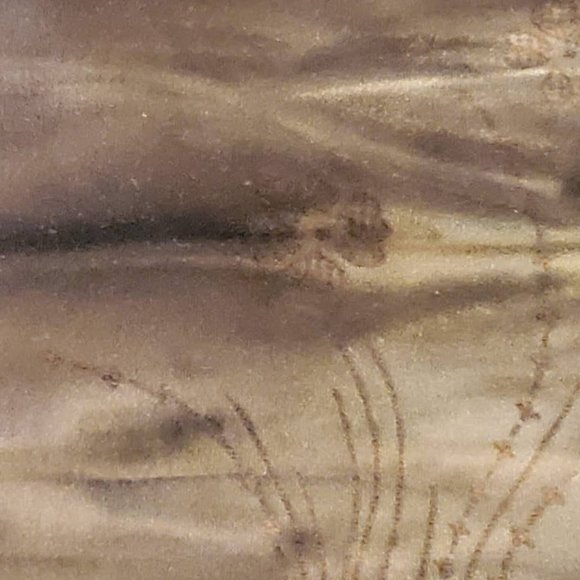 Only Nine Woman Top - Picture 8 of 16